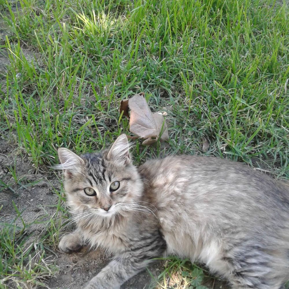 Meet your Posher, Rita